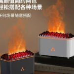 Flame Humidifier.
